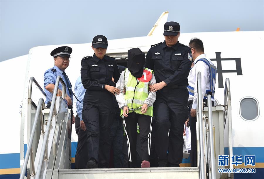 微访谈:林怡谈教育应很自然_9929香港云服务器