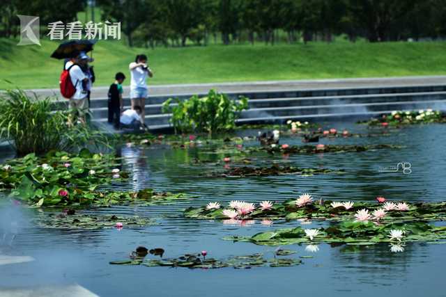 日本人十连休出国旅客数将创新高 来中国的最多_CN2持续集成