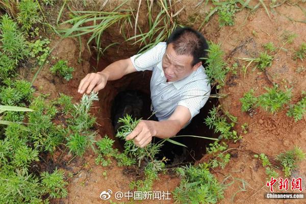 张召忠评印度航母失火事故:拉到大连来修 包治百病_CN2服务器带宽充足