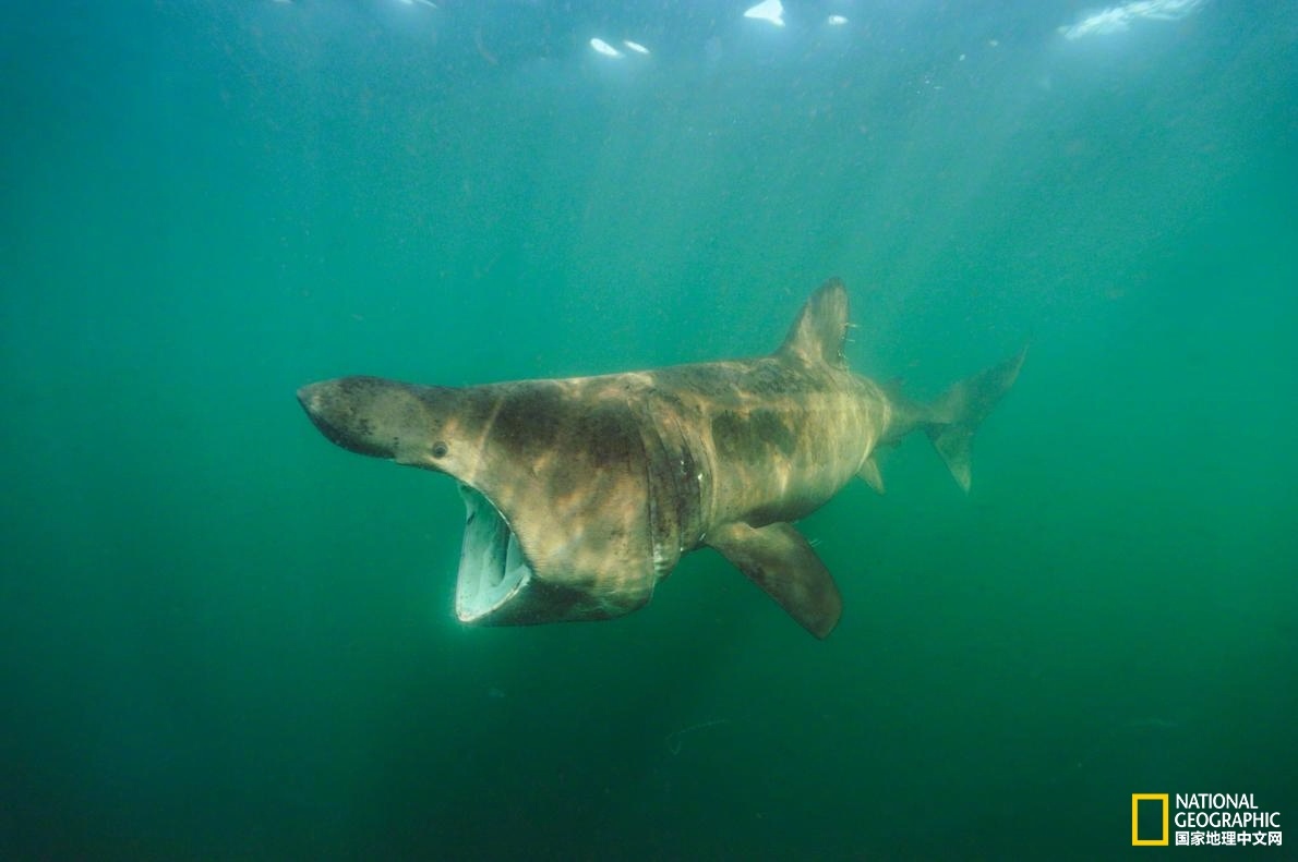 曝光朋友圈里最甜的男生_无影云桌面