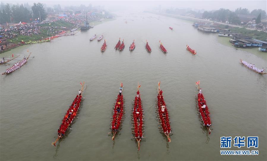 贾跃亭遭立案调查：26万股民欲哭无泪_显卡云服务器