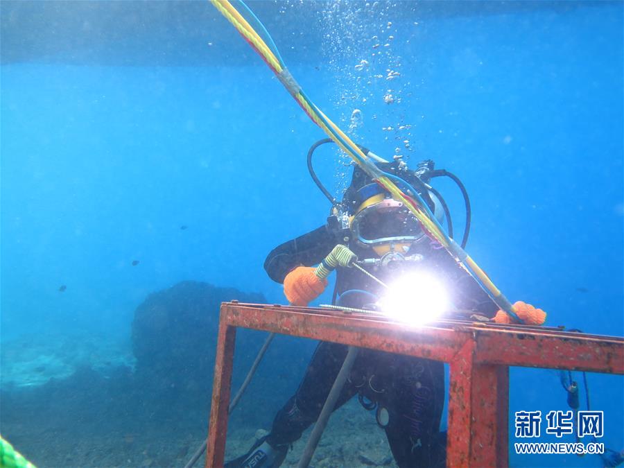 买的二手域名还用续费吗_CN2服务器路由追踪