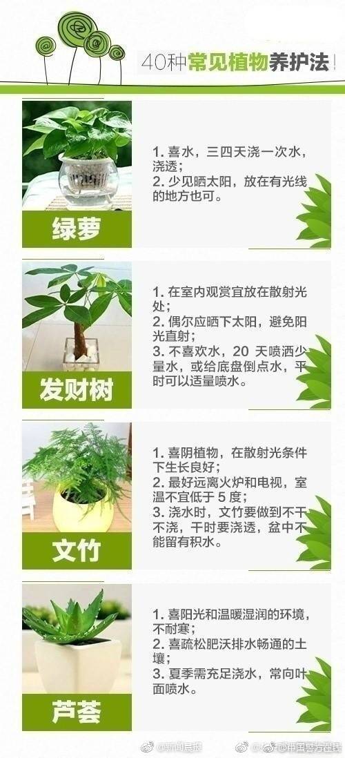 推广笔记只需10元 电商平台虚假评价“毒瘤”咋清除_美国CN2服务器推荐