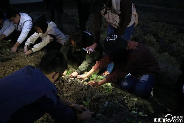 网站和备案域名到期后不再使用应该怎么办？被劫持到博彩网站应该怎么处理？_挂机宝代理
