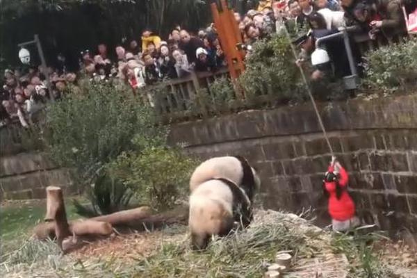 高烧工房:TABOR挖起杆测评_9929弹性云主机