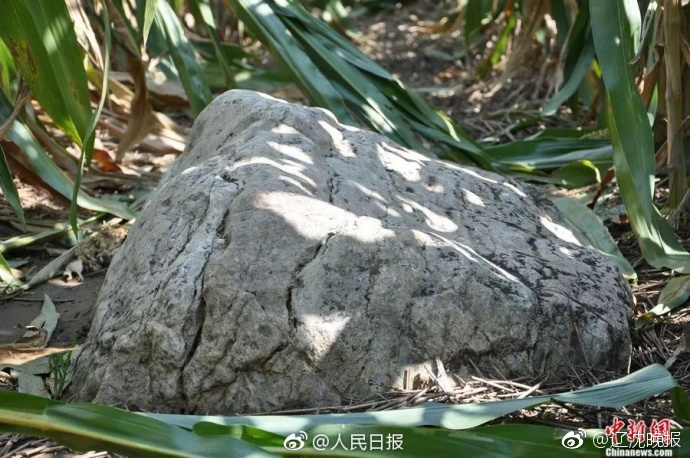 前恒大球员自曝遭“绑架式转会” 工资缩水超97%_云电脑入门指南