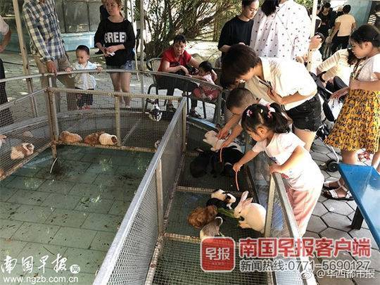哈登遇勇士车轮战 满脸不甘_云电脑API