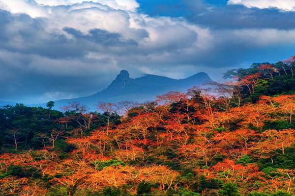 云服务器实例要变更购买的配置_Tesla挂机宝