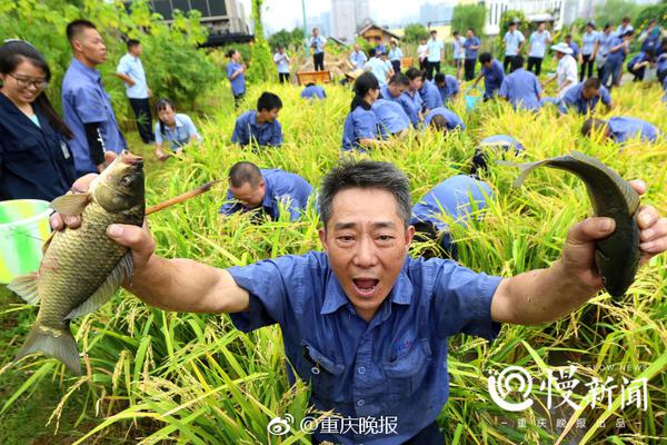 成都海关截获价值上千万濒危鱼鱼鳔_9929云主机