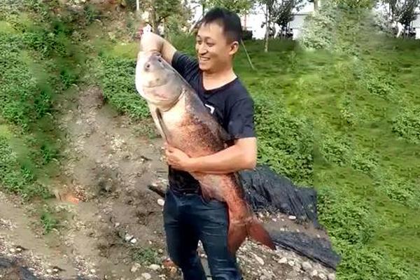 楼市小阳春北京热盘大推荐_勒索防护云电脑