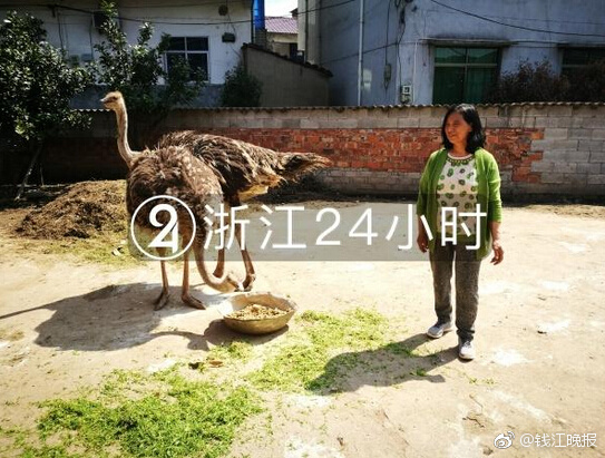 试驾本田奥德赛锐·混动_CN2云服务器方案