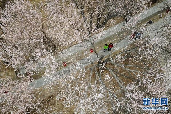 企业邮箱怎么改密码_CN2服务器铂金处理器
