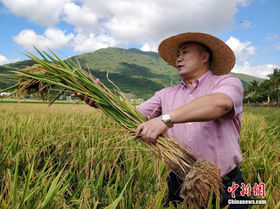 董其昌 何以影响三百年的中国书画史？