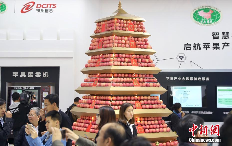 老板被抓！公司关停！金诚集团5700亿项目停摆 市值仅剩6亿_CN2 AI服务器