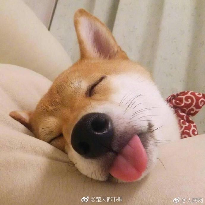 迪士尼如何买断所有人的童年？_连锁店云电脑