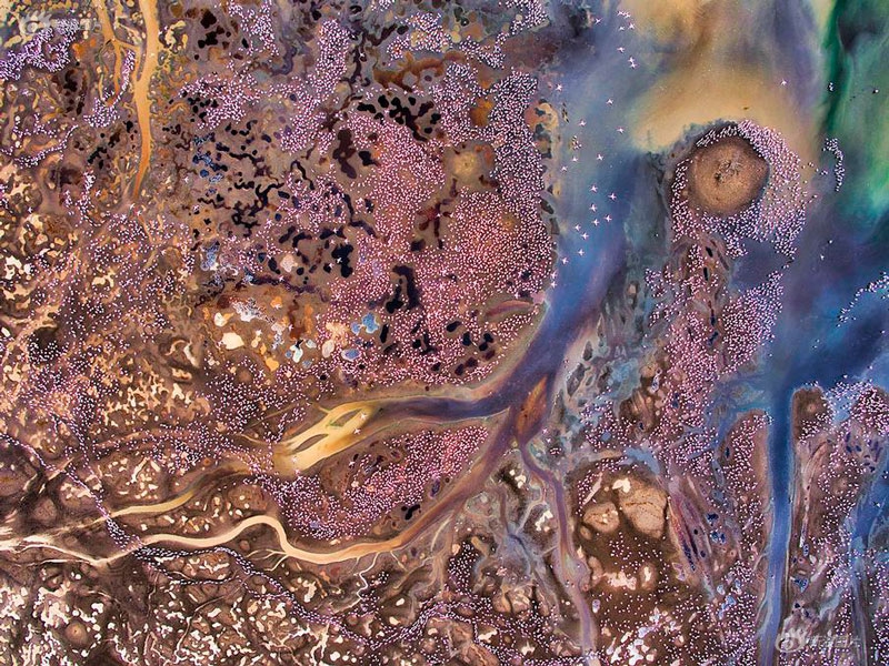 流氓性格的刘邦何以运气超好