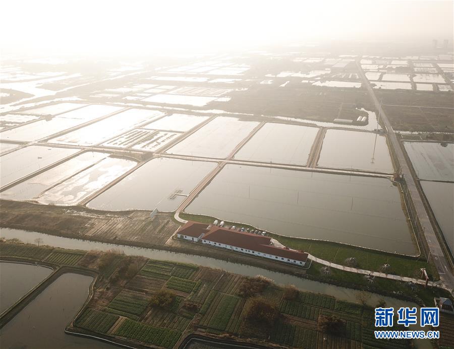 五一这些地最火这些路最堵_9929商家推荐