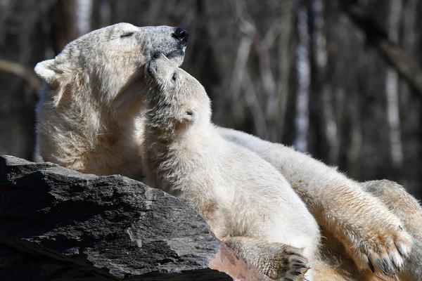 惊艳！他为劳动者拍时尚大片_挂机宝Telegram机器人