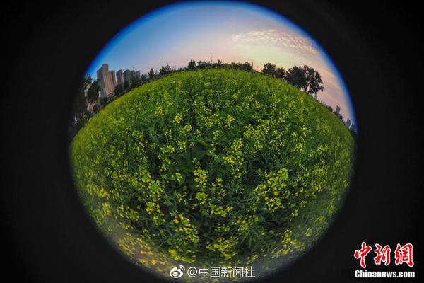 陈冠希为护隐私何错之有？