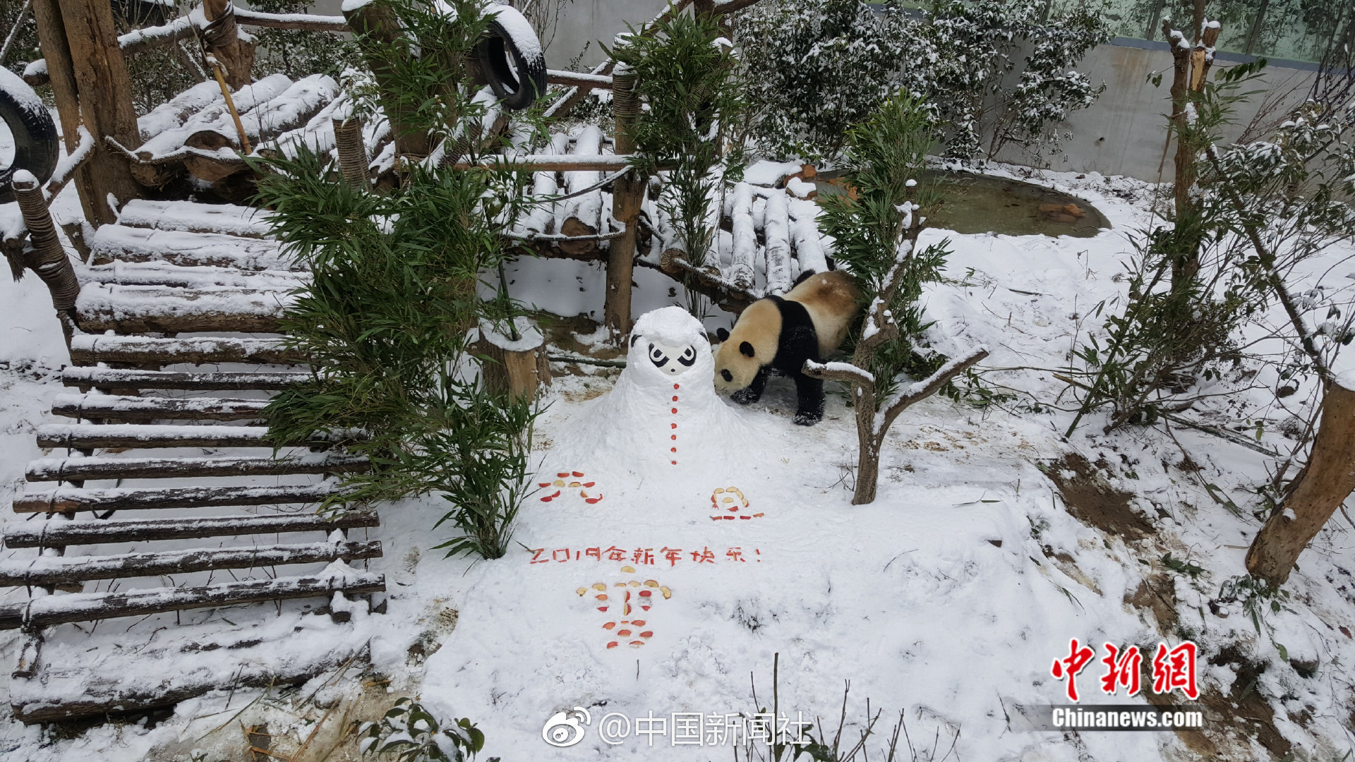 俄媒称现代航母依旧是“海上霸主”?_移动云电脑