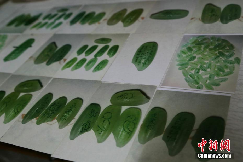 云服务器 如何绑定域名_网站服务器