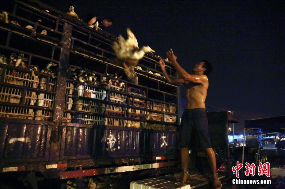 2.0T带四驱,这奥迪又降2万,人称平价小A7,终于火了!_挂机宝性能