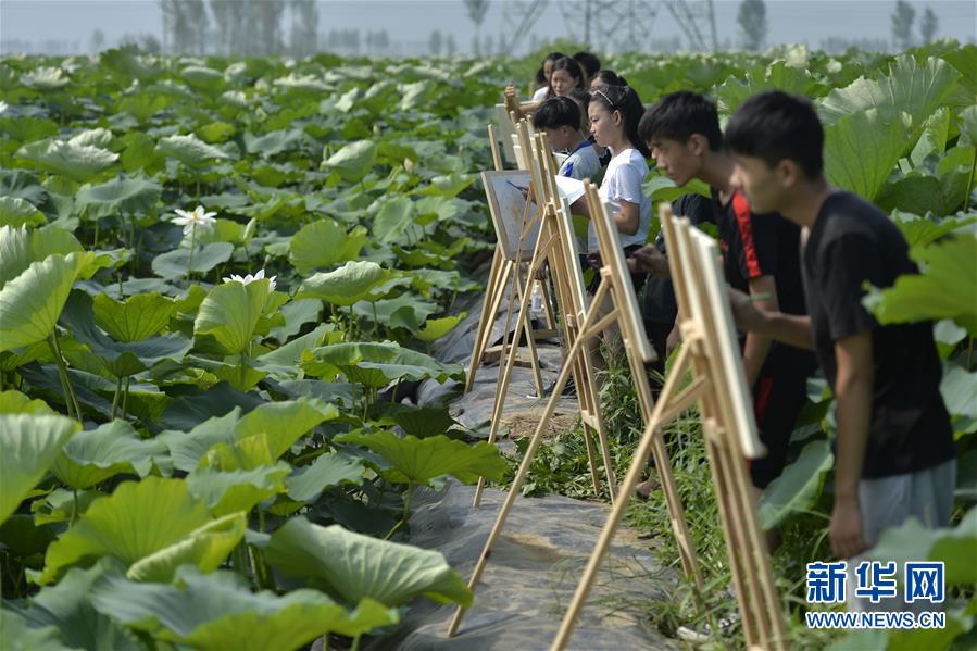 专家教你高考怎么报志愿_CN2多可用区部署