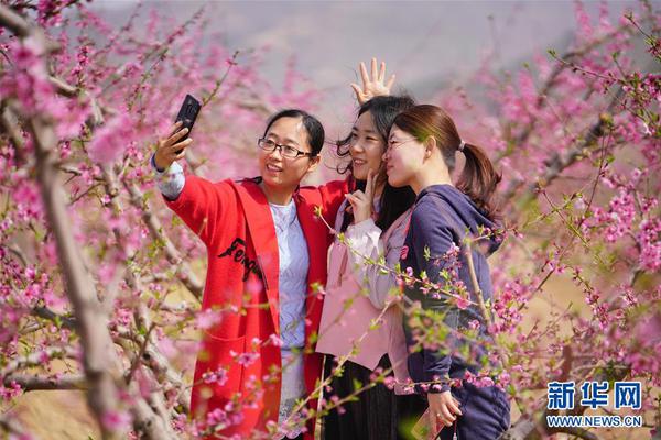 PPP到底是什么?浅谈PPP与其神奇的“祖师爷”_9929三网优化
