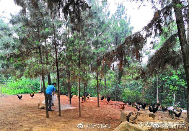 江苏盐城爆炸共救治伤员640人 负责人被警方控制_云服务器续费3折