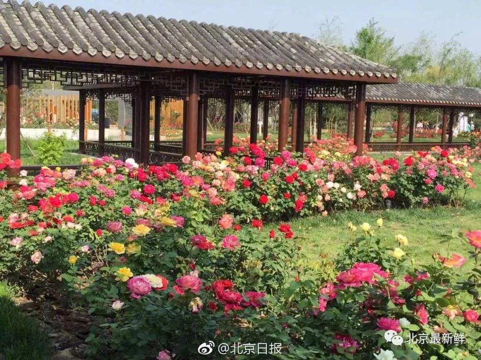 豪门齐聚BLAST系列赛马德里站_CN2服务器服务商