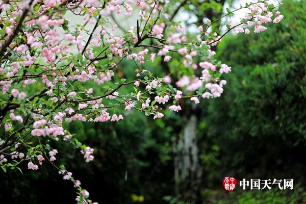 刺刀醒目：参加诺曼底战役的英军部队_云服务器20M带宽