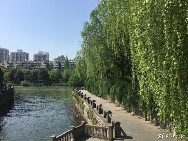 《体育》网易公布二季度未审计财务业绩_教育云服务器