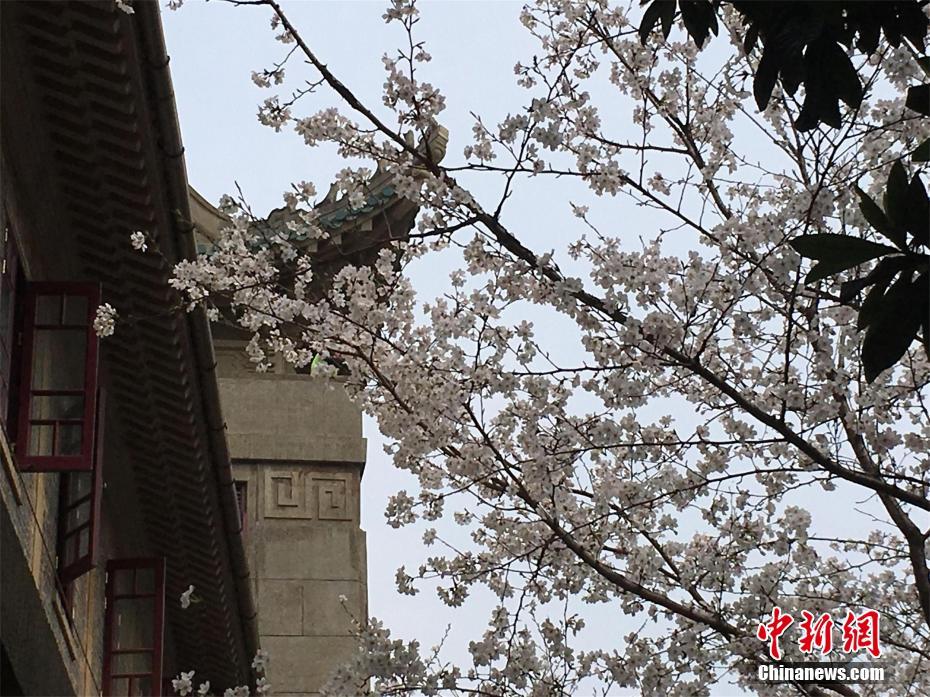 这三大生肖，5月贵人带来桃花运，感情开花结果！