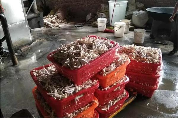 身在美国心在汉 这些海外新车都瞄准了中国市场_9929网络架构