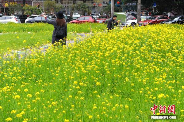 日媒:中国在这个领域排第一 日本排末位_迷你哆云挂机宝