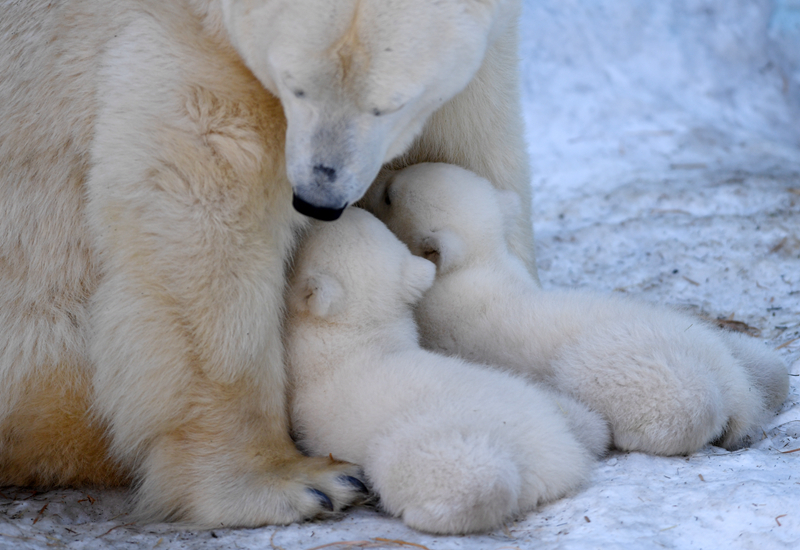 服务器上绑定多少域名最好_云电脑手机连接电视