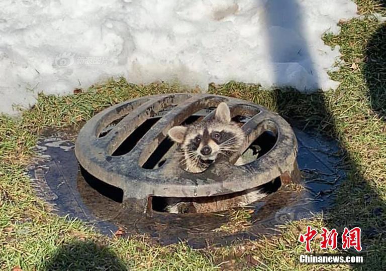 蔡英文刚说完"我做了很多事情" 面前的话筒全倒了_云电脑5G