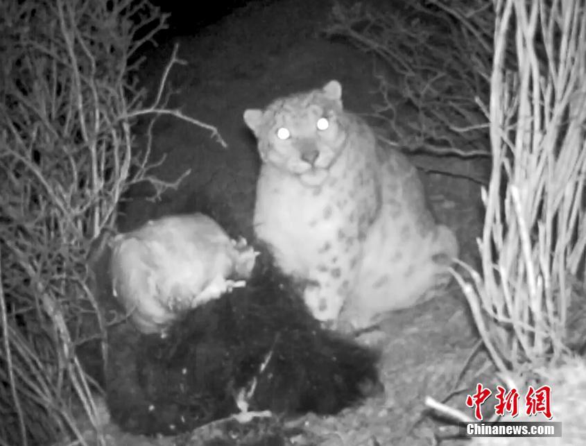 迈思星球获数百万美金A轮融资_9929稳定运营商