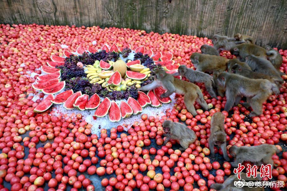 云服务器怎么看什么时候购买的_9929高性能云服务器