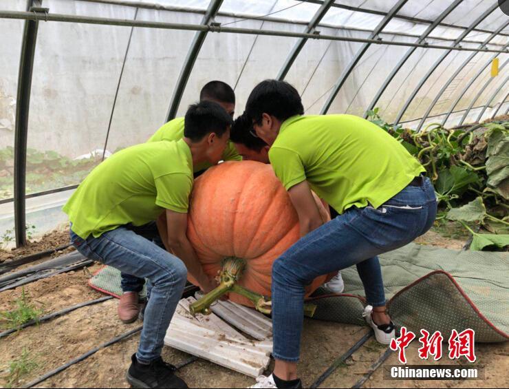满满正能量!《只狼》《鬼泣》义肢设定带给玩家信心_挂机宝亚马逊