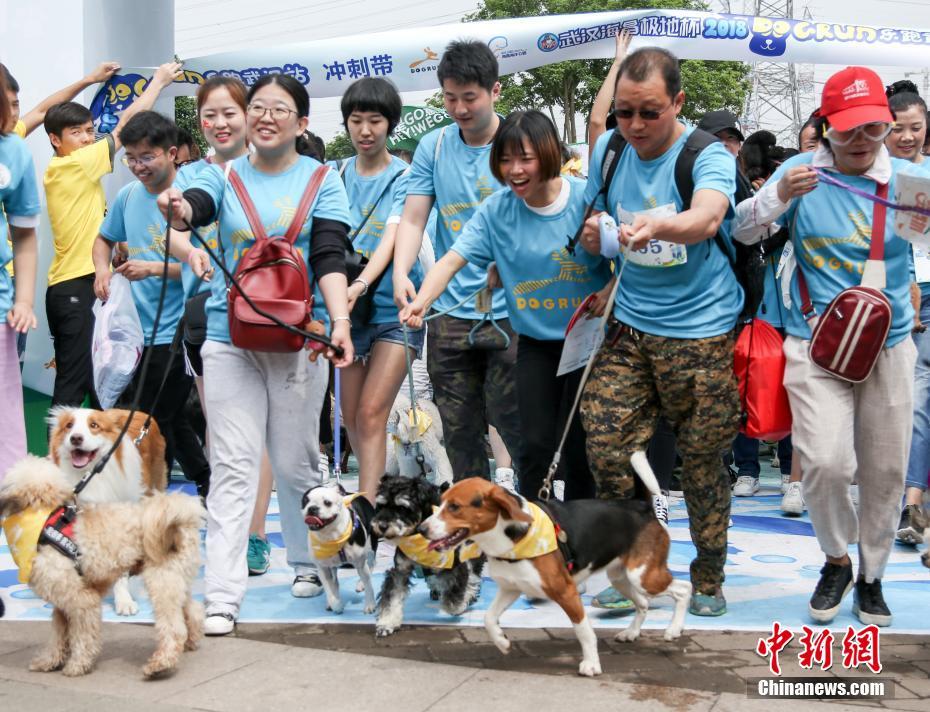 五一自驾游前，应该注意哪些事项_2026年CN2服务器推荐