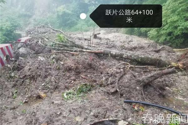 《娱乐早点爆》第205期 明星高糊童年照修复后_挂机宝页游挂机