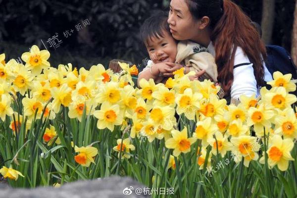 希望工程触动无数人的照片主人公们后来怎么样了？