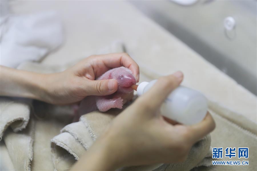 如何看突如其来的六连阴_私有云服务器