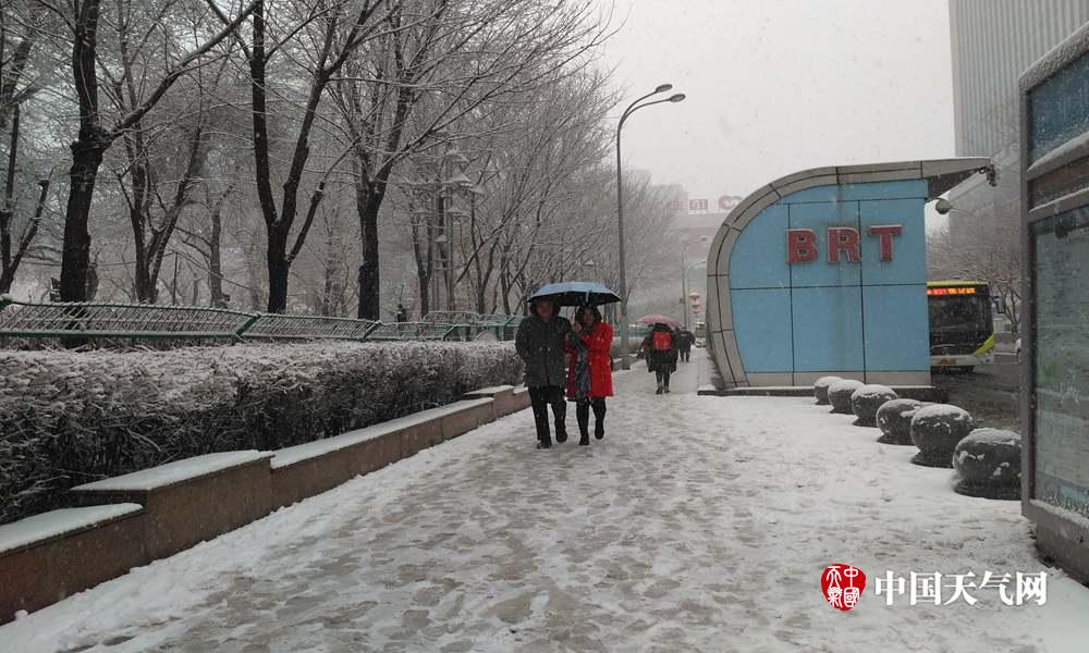 五一出游季带着宠物去旅行 羡慕动物界那些旅游达人_云电脑手机端