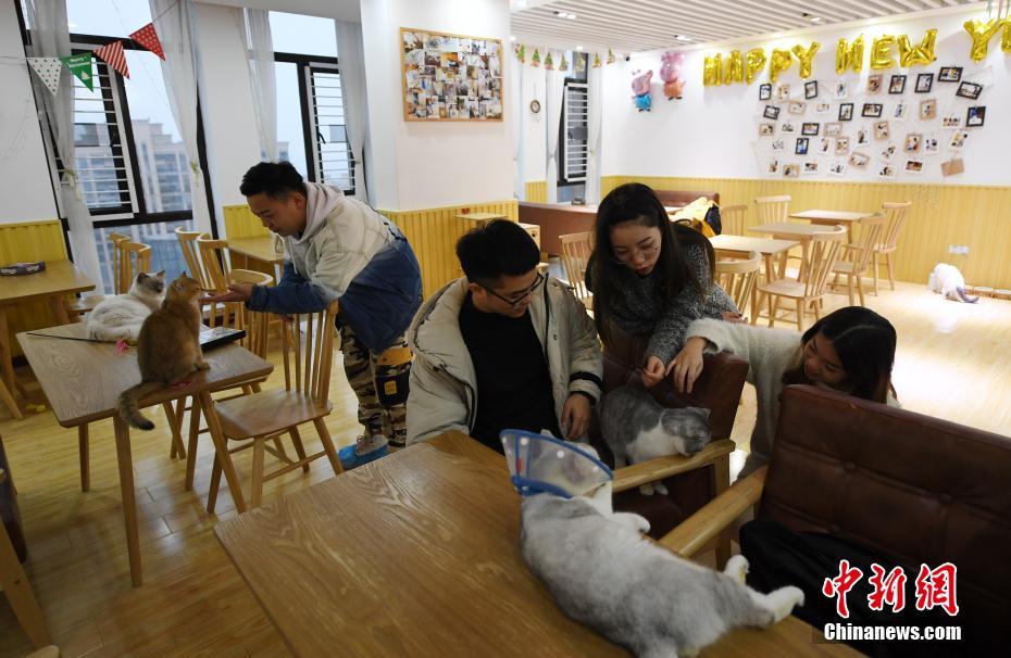 饮食应少糖多酸,保护血管效果明显