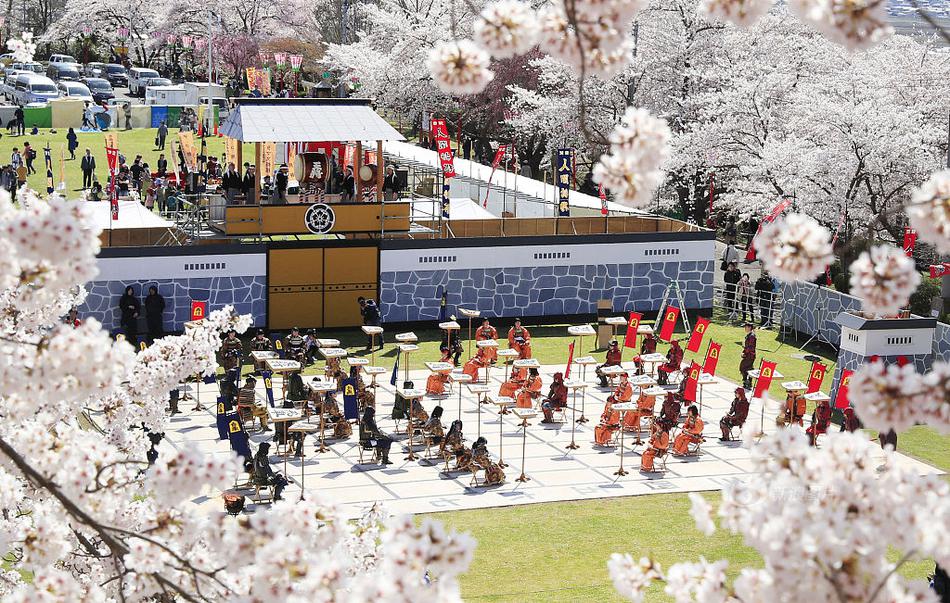 域名店铺推荐_CN2服务器独享IP
