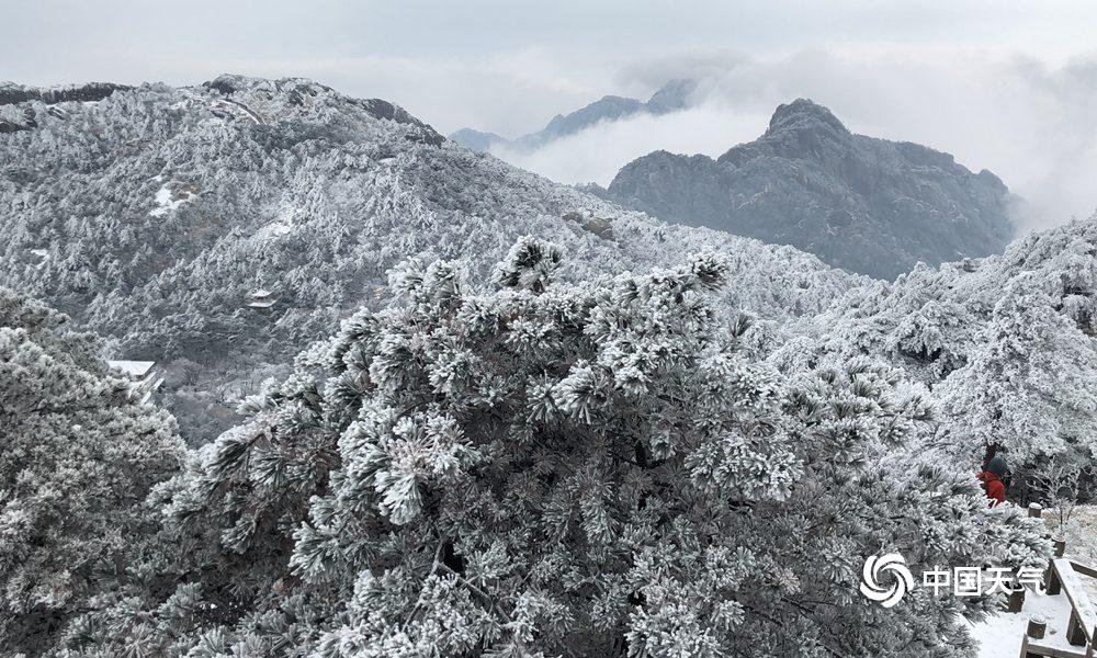 压力大吃垃圾食品更易胖_挂机宝带宽