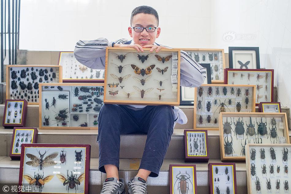 域名店铺推荐_三网CN2服务器