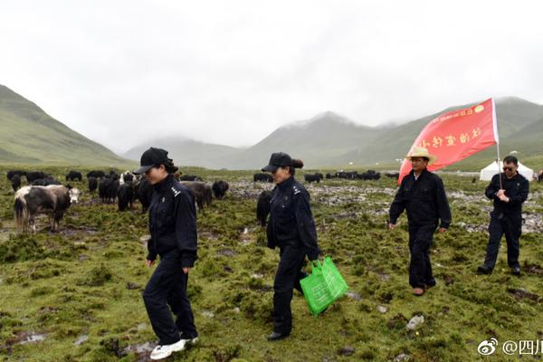 10小时目睹国外父母推娃新境界_挂机宝美国